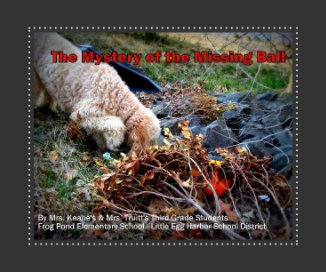 The Mystery of the Missing Ball book cover