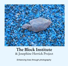 The Block Institute 
& Josephine Herrick Project book cover