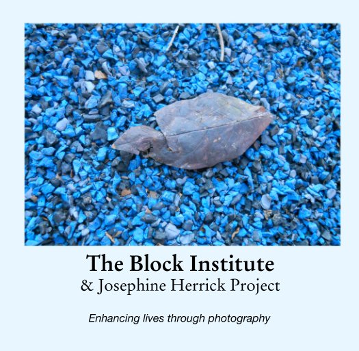 View The Block Institute 
& Josephine Herrick Project by Enhancing lives through photography