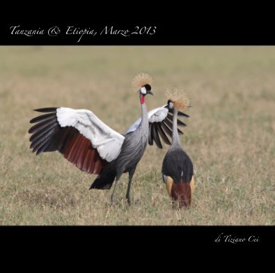 Tanzania & Etiopia, Marzo 2013 book cover