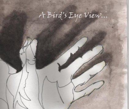 A Bird's Eye View... book cover