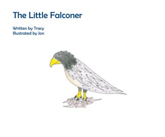 The Little Falconer book cover