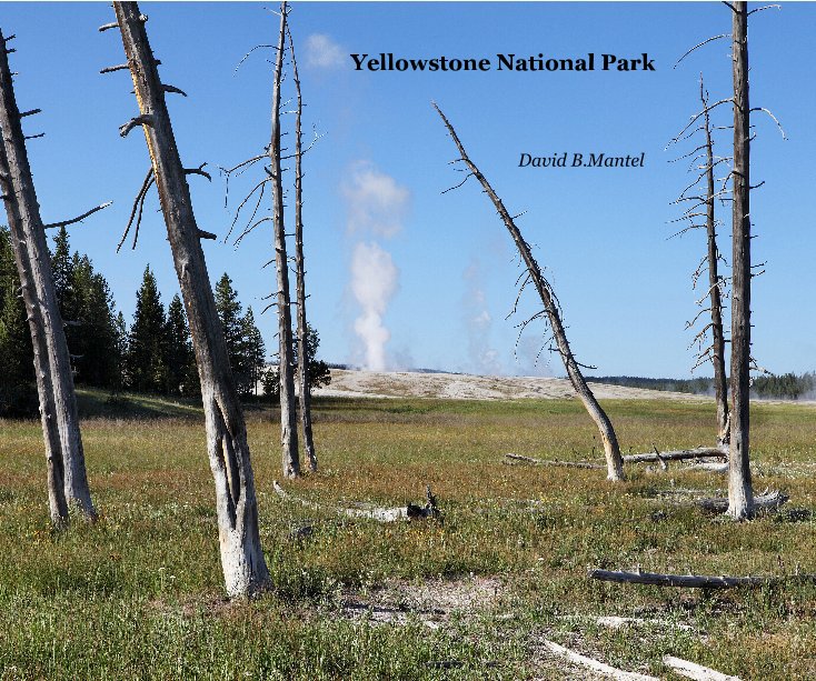 Ver Yellowstone National Park por David B. Mantel