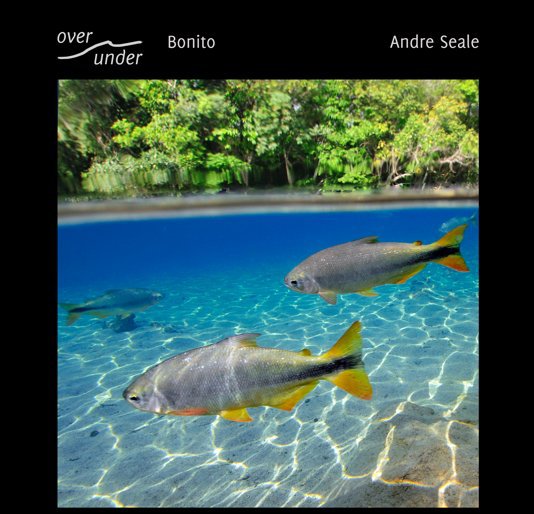 View Over/Under: Bonito by Andre Seale