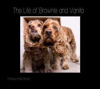 The Life of Brownie and Vanilla book cover