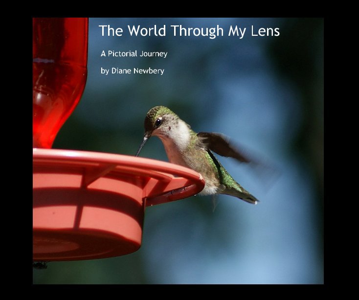 View The World Through My Lens by Diane Newbery