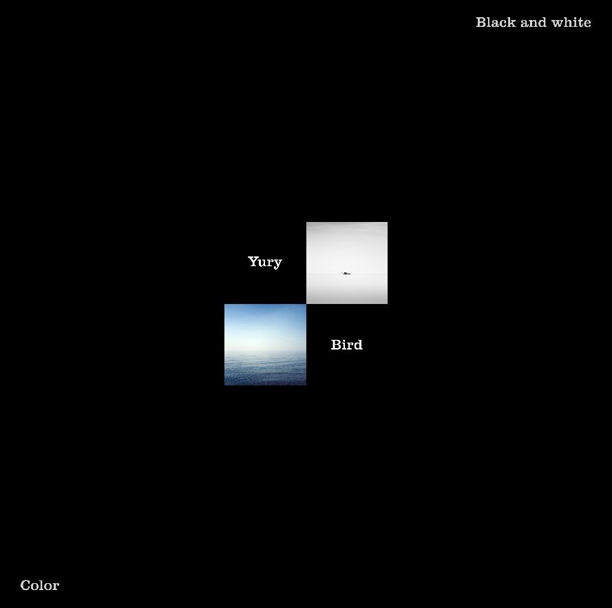 Visualizza Black White Color di Yury Bird
