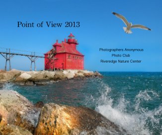 Point of View 2013 book cover