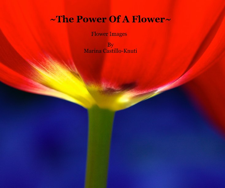 View ~The Power Of A Flower~ by Marina Castillo-Knuti