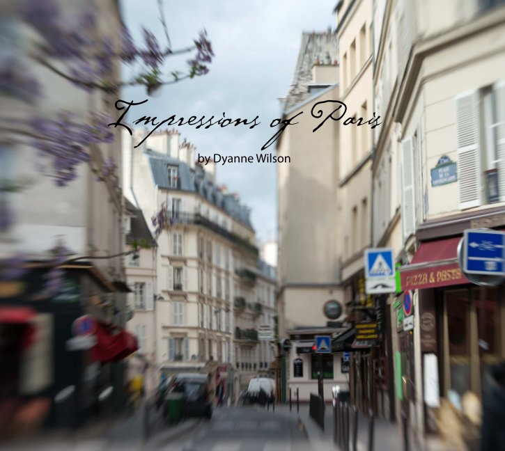 View Impressions of Paris by Dyanne Wilson