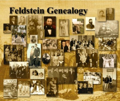 Schloss/Klein/Jandorf/Feldstein Genealogy 2013 book cover