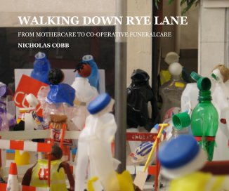 WALKING DOWN RYE LANE book cover