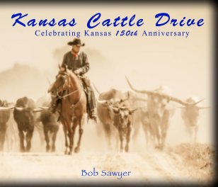 Kansas Cattle Drive book cover