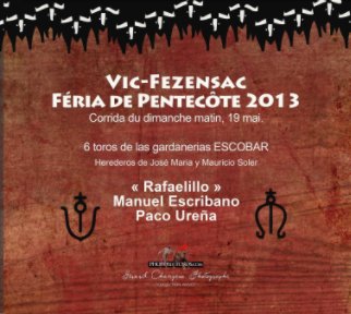 FERIA DE PENTECOTE 2013 DIM MAT book cover