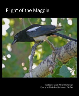 Flight of the Magpie book cover
