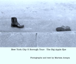 New York City 5 Borough Tour:  The Big Apple Eye book cover