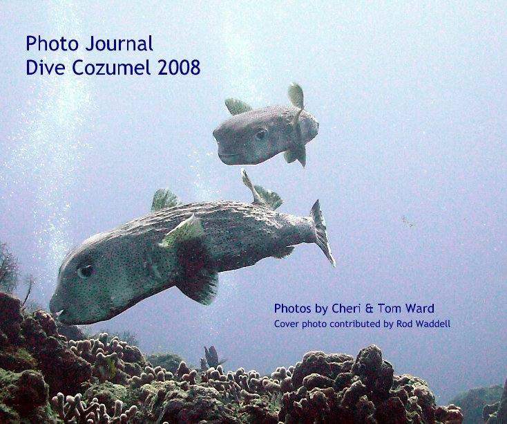 View Photo Journal--Dive Cozumel 2008 Photos by Cheri & Tom Ward (Cover photo contributed by Rod Waddell)