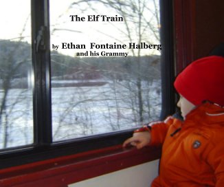 The Elf Train book cover