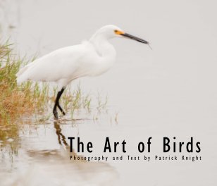 The Art of Birds-PL book cover
