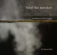 bind the monkey book cover