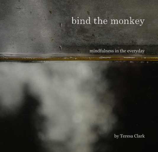 View bind the monkey by teresa clark