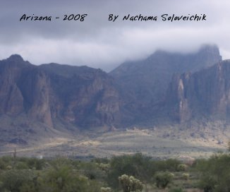 Arizona - 2008 book cover