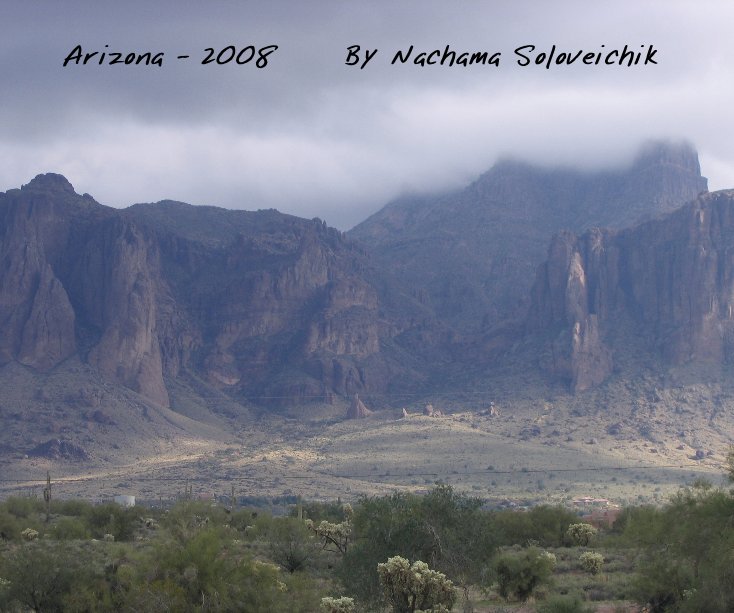 View Arizona - 2008 by Nachama Soloveichik