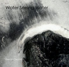 Water Seeing Water book cover