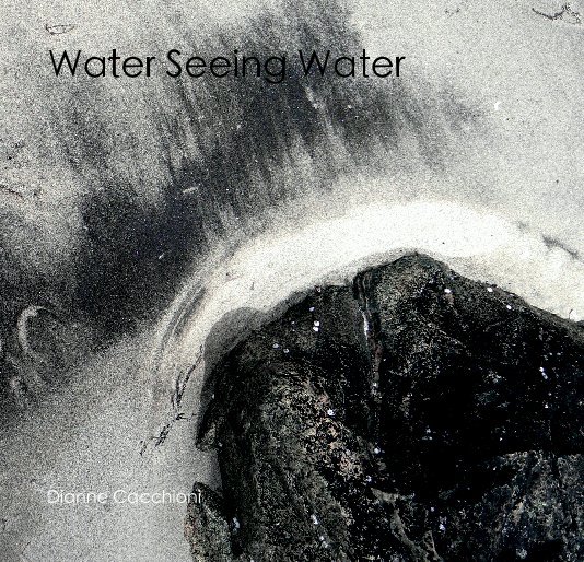 Visualizza Water Seeing Water di Dianne Cacchioni