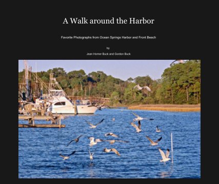 A Walk around the Harbor book cover