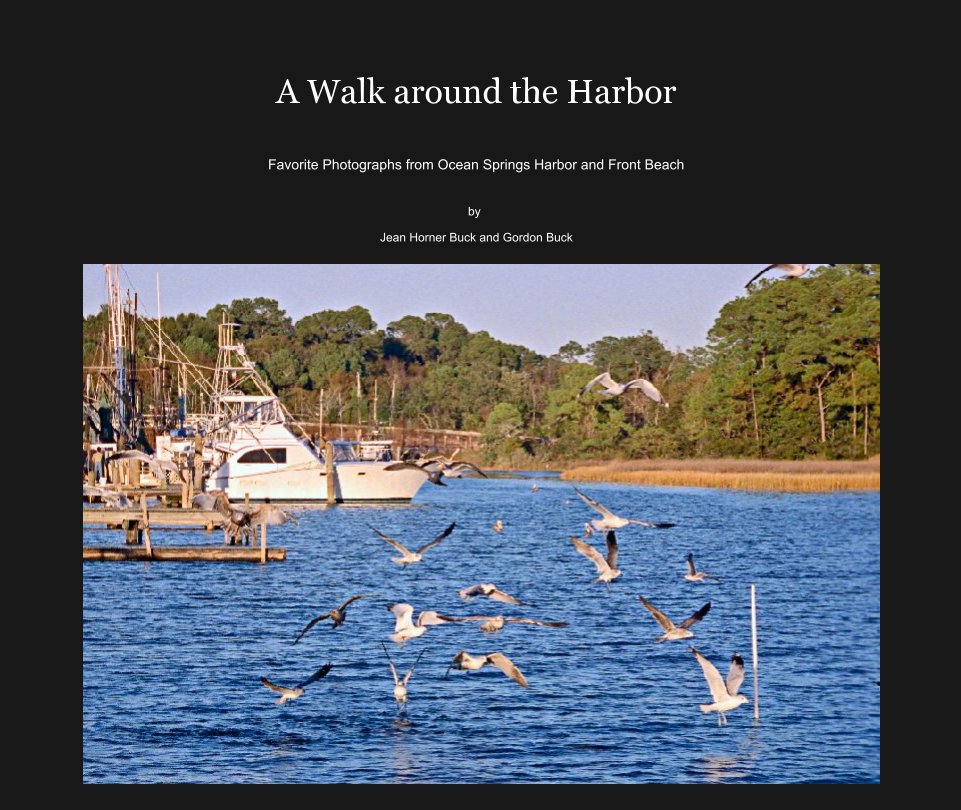 View A Walk around the Harbor by Jean Horner Buck and Gordon Buck