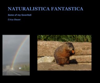 NATURALISTICA FANTASTICA book cover