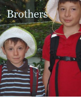 Brothers book cover