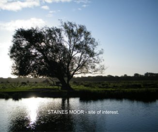 Staines Moor - Site of interest book cover