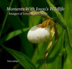 Moments With Iowa's Wildlife - Images of Iowa Wildflowers book cover