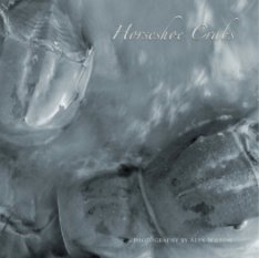 Horseshoe Crabs book cover