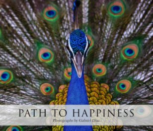 Path to Happiness book cover
