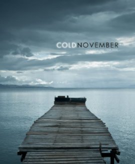 Cold November V2 book cover