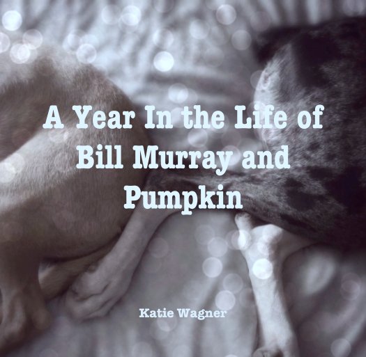 Ver A Year In the Life of 
Bill Murray and Pumpkin por Katie Wagner
