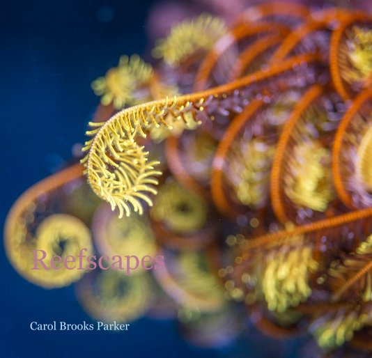 Reefscapes 2012 proofbook nach Carol Brooks Parker anzeigen