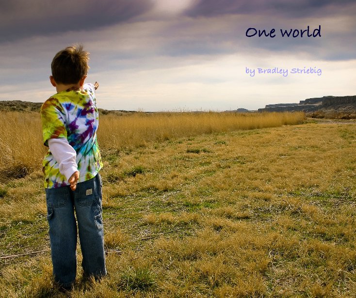Visualizza One world di Bradley Striebig