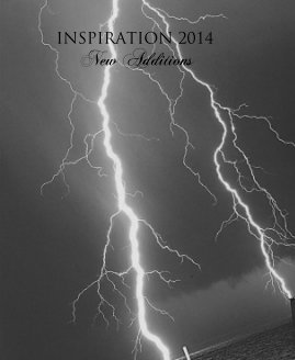 INSPIRATION 2014 New Additions book cover