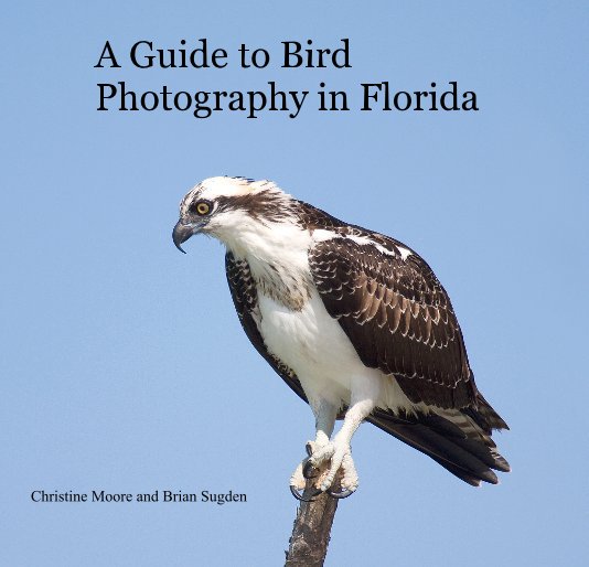 View A Guide to Bird Photography in Florida by Christine Moore - Brian Sugden