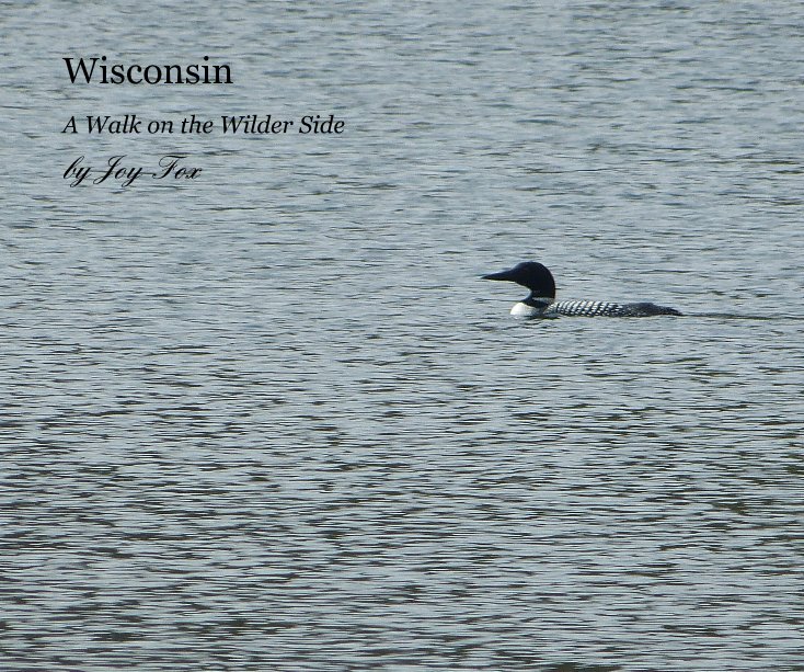 View Wisconsin by Joy Fox