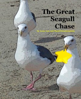 The Great Seagull Chase by Aran, Lon and Maral Kirschenmann book cover