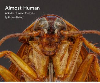 Almost Human book cover