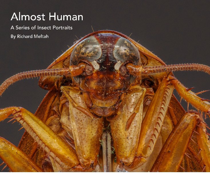View Almost Human by Richard Meftah