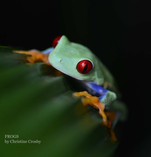Bekijk Frogs op Christine Crosby