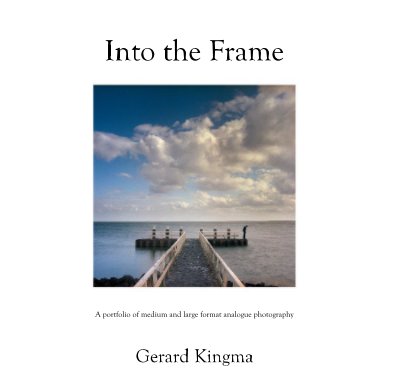 Into the Frame book cover
