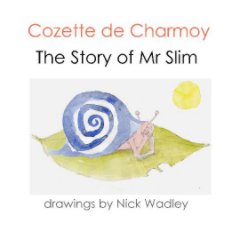 The Story of Mr Slim book cover